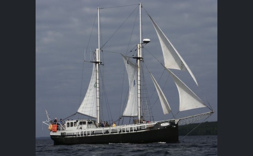 Muu Merkki Kahvelikuunari-kuva-1